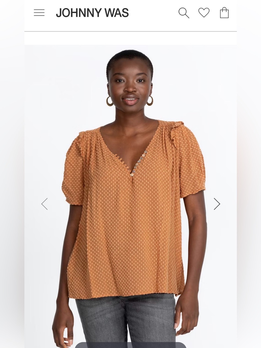 Johnny Was Cinnamon Swiss-Dot V-Neck Puff Sleeve Blouse